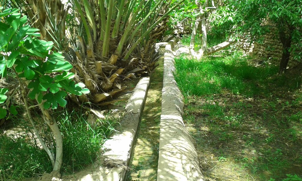 Les oasis maghrébins : leur importance pour le développement durable