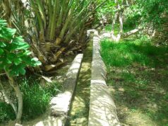 Les oasis maghrébins : leur importance pour le développement durable