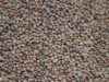 Lentilles marocaines : un récit culinaire des traditions familiales Moroccan family preparing lentil dish for dinner