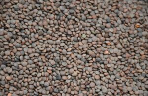 Lentilles marocaines : un récit culinaire des traditions familiales Moroccan family preparing lentil dish for dinner