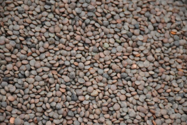 Moroccan family preparing lentil dish for dinner