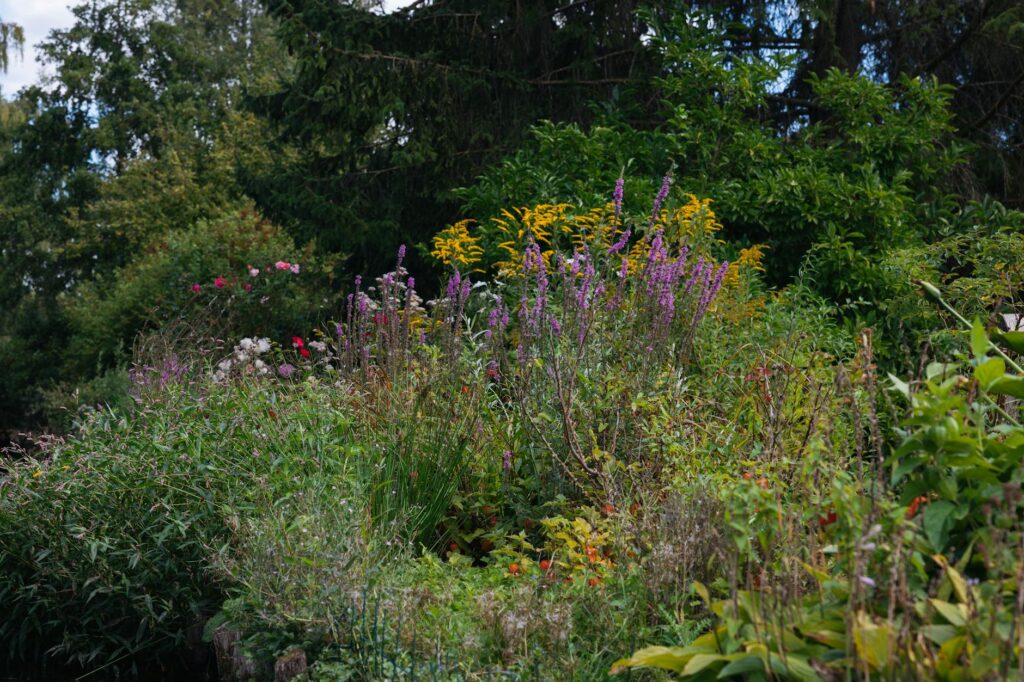 Étudiants travaillant dans un jardin de plantes à Saint-Cyr L'École en France