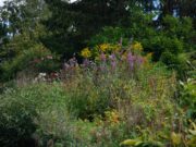 Éducation à Saint-Cyr L’École : la filière végétale et la biodiversité en France Étudiants travaillant dans un jardin de plantes à Saint-Cyr L'École en France