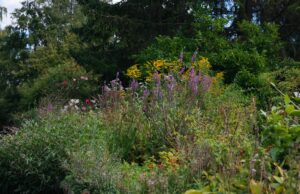 Éducation à Saint-Cyr L’École : la filière végétale et la biodiversité en France Étudiants travaillant dans un jardin de plantes à Saint-Cyr L'École en France
