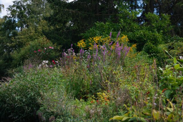 Étudiants travaillant dans un jardin de plantes à Saint-Cyr L'École en France