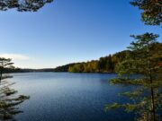 Pierre Vermeren : L’Algérie s’est servie de la France pour faire oublier la guerre civile pierre vermeren lalgérie sest featured image