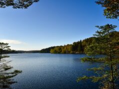 Pierre Vermeren : L’Algérie s’est servie de la France pour faire oublier la guerre civile pierre vermeren lalgérie sest featured image