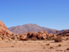 Un voyage culinaire dans la découverte de la cuisine berbère dans l’Atlas : un riche héritage gastronomique Famille autour d'un plat de cuisine berbere dans les montagnes de l'Atlas marocain