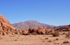 Un voyage culinaire dans la découverte de la cuisine berbère dans l’Atlas : un riche héritage gastronomique Famille autour d'un plat de cuisine berbere dans les montagnes de l'Atlas marocain