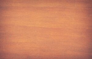 TikTok et factures téléphoniques excessives : un cas Marrakech Marrakech resident with excessive phone bill due to TikTok usage