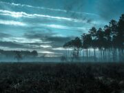 Nouvelle gestionnaire de De A à Zen à Vitré : un changement pour un spa et institut de beauté Nouvelle gestionnaire femmes d'affaires se présentant dans un spa De A à Zen à Vitré