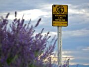 La réactivation du gazoduc Maghreb Europe : l’Algérie et l’Espagne aux négociations Algerian and Spanish negotiators discussing reactivation of the Maghreb Europe gas pipeline