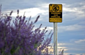 La réactivation du gazoduc Maghreb Europe : l’Algérie et l’Espagne aux négociations Algerian and Spanish negotiators discussing reactivation of the Maghreb Europe gas pipeline