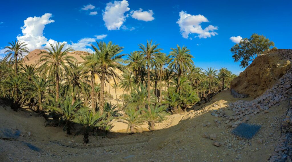 Famille dans une oasis marocaine en pleine nature