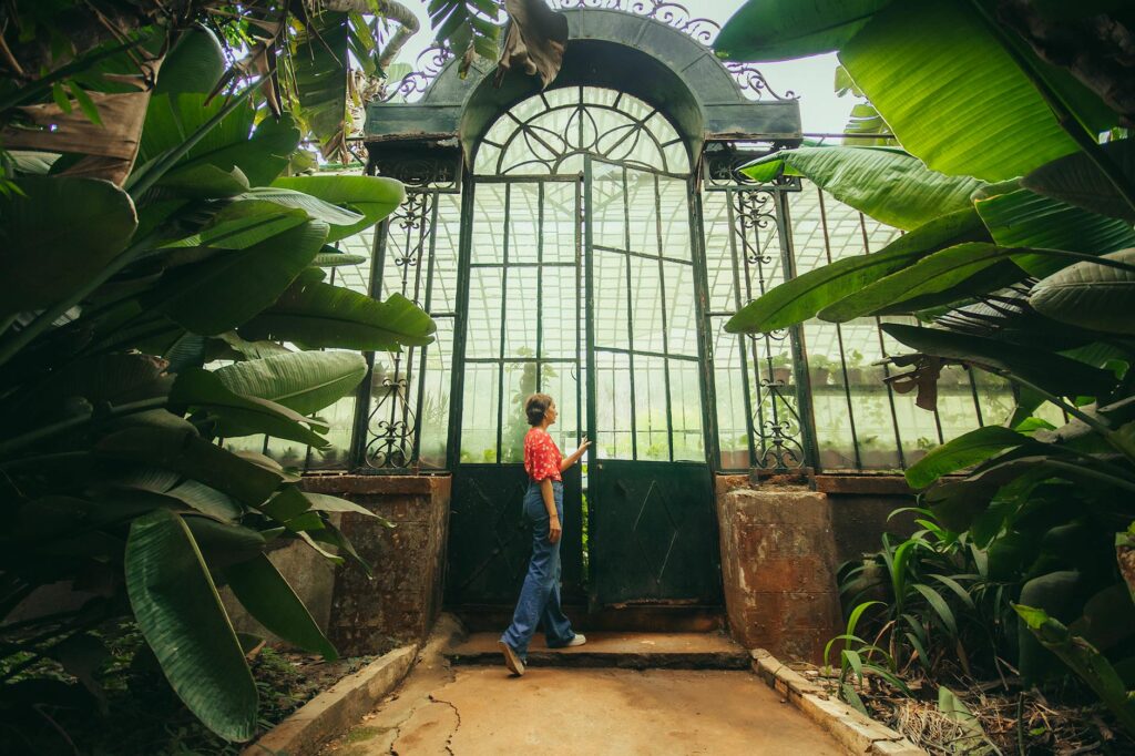 Pèlerinage historique du Pape Léon XIV en Algérie : le Pape François visite l'Algérie