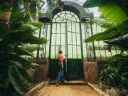 Le pèlerinage historique du Pape Léon XIV en Algérie : un voyage de reconciliation et d’évolution spirituelle Pèlerinage historique du Pape Léon XIV en Algérie : le Pape François visite l'Algérie
