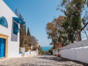 Sidi Bou Said : les incontournables d’un voyage en Tunisie