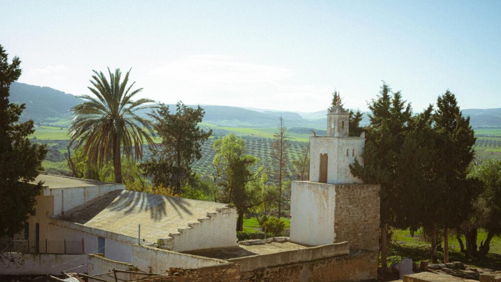 Italie-Tunisie : la culture magnifique au cœur du nouveau parcours de l’ambassadeur Prunas
