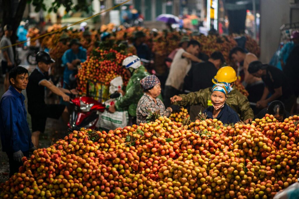 Vietnamese products on display at Algerian market for diaspora