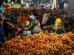 Boosting Vietnamese Exports of Key Products to Algeria: Une opportunité lucrative pour les Maghrébins de la diaspora Vietnamese products on display at Algerian market for diaspora