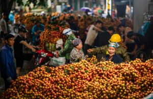 Boosting Vietnamese Exports of Key Products to Algeria: Une opportunité lucrative pour les Maghrébins de la diaspora Vietnamese products on display at Algerian market for diaspora