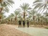 Sustainable oasis living: protégant les joyaux environnementaux du Maghreb Family enjoying sustainable living in a lush Maghreban oasis, surrounded by palm trees and medicinal plants