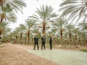 Sustainable oasis living: protégant les joyaux environnementaux du Maghreb Family enjoying sustainable living in a lush Maghreban oasis, surrounded by palm trees and medicinal plants