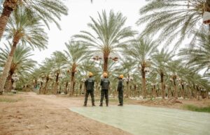 Sustainable oasis living: protégant les joyaux environnementaux du Maghreb Family enjoying sustainable living in a lush Maghreban oasis, surrounded by palm trees and medicinal plants