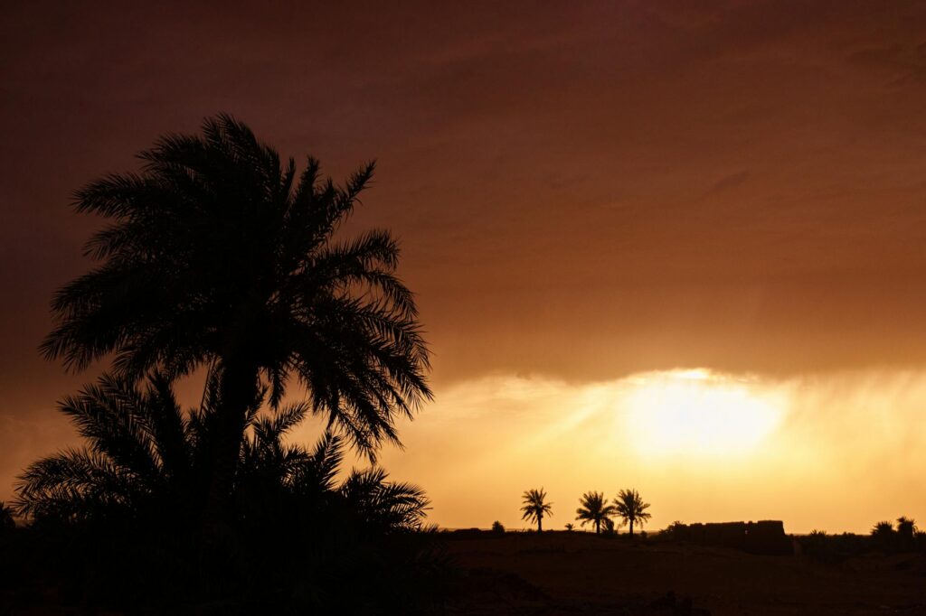 L’Oasis au Maroc : la défense de l’environnement dans la région du Sahara