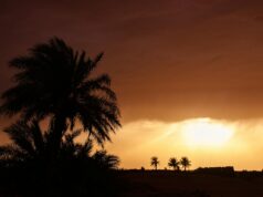L’Oasis au Maroc : la défense de l’environnement dans la région du Sahara Famille visitant une oasis saharienne au Maroc, en danger à cause du développement humain et des pratiques agricoles traditio