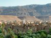 Les oasis marocaines : préservation et développement durable pour une croissance durable Family exploring a sustainable oasis in Morocco, surrounded by palm trees and traditional irrigation systems