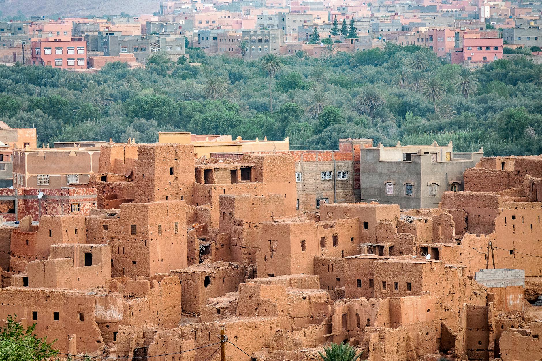 Family exploring a lush oasis in the Maghreb