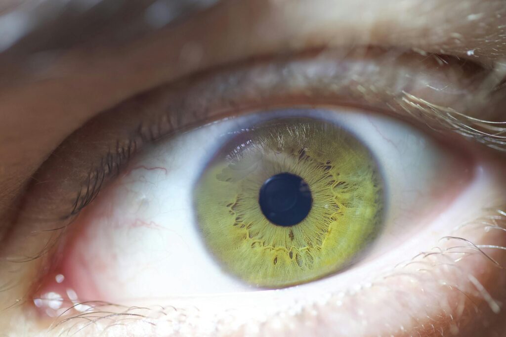 Femme algérienne regardant dans un réflecteur d'œil avec une rétine algérienne visible