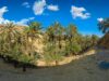 Les oasis maghrébines, un patrimoine oublié dans le développement durable Famille explorant les oasis du Maghreb en pleine verdure
