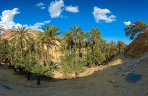 Les oasis maghrébines, un patrimoine oublié dans le développement durable Famille explorant les oasis du Maghreb en pleine verdure