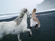 Dernière étape vers l’Algérie : Aslan et son cavalier en route depuis la Loire-Atlantique Cheval blanc d'Aslan en route vers l'Algérie depuis la Loire-Atlantique, accompagné de son cavalier.