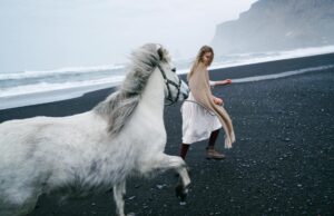 Dernière étape vers l’Algérie : Aslan et son cavalier en route depuis la Loire-Atlantique Cheval blanc d'Aslan en route vers l'Algérie depuis la Loire-Atlantique, accompagné de son cavalier.