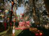 Expérience de mariage en Inde : un voyage vers l’humanité Colorful and animated Indian traditional wedding ceremony, filled with music, aromas, and vibrant colors