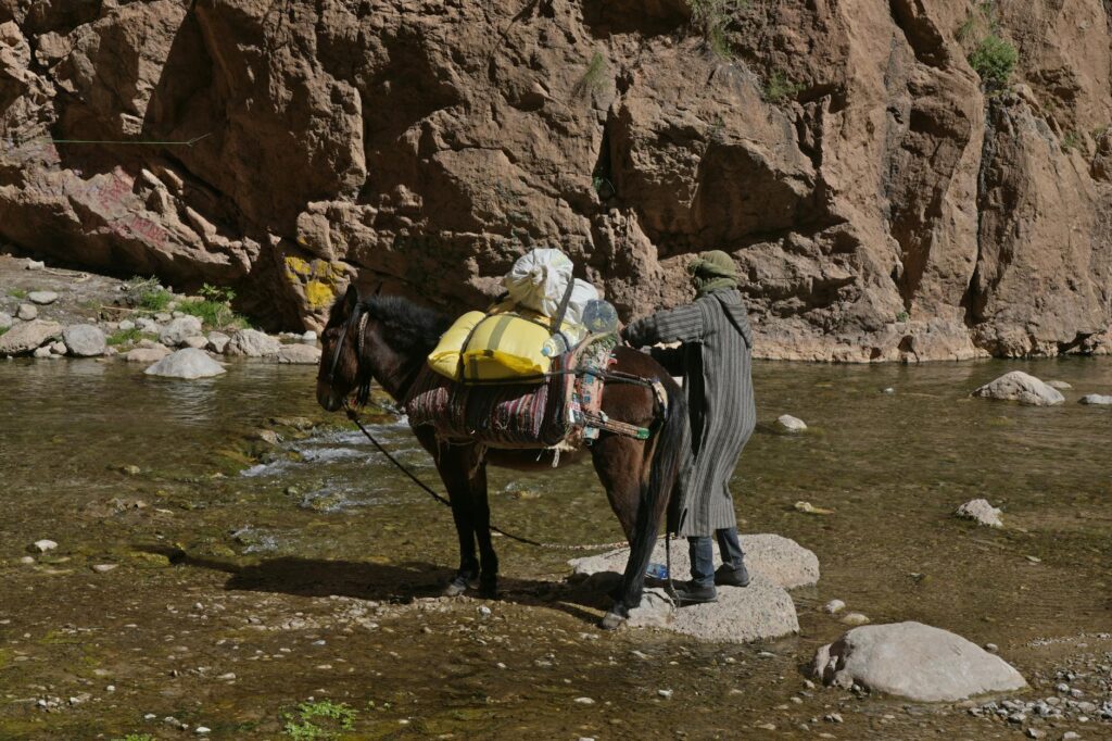 Redécouvrir la cuisine berbère aux montagnes de l’Atlas