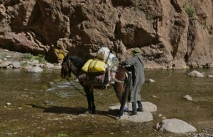 Redécouvrir la cuisine berbère aux montagnes de l’Atlas Berger berbère préparant un plat avec des épices dans les montagnes de l'Atlas