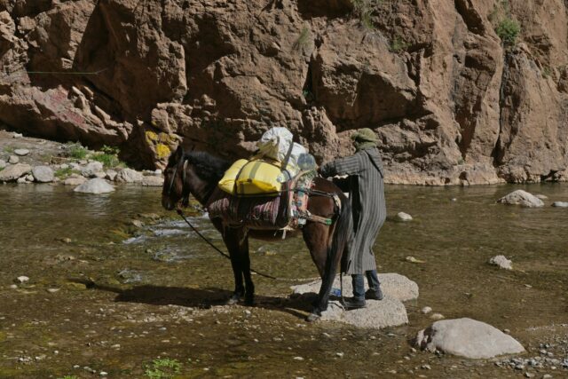 Berger berbère préparant un plat avec des épices dans les montagnes de l'Atlas