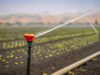 La réutilisation de techniques d’irrigation anciennes au Maroc sauve l’eau en 2026 Ancient irrigation techniques in use at a traditional Moroccan farm, water-saving solutions for 2026