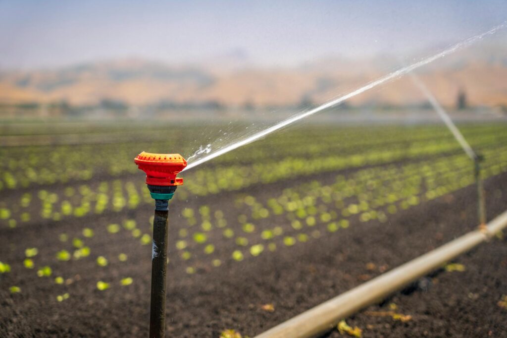 La réutilisation de techniques d’irrigation anciennes au Maroc sauve l’eau en 2026