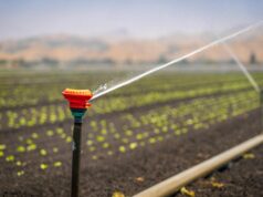 La réutilisation de techniques d’irrigation anciennes au Maroc sauve l’eau en 2026 Ancient irrigation techniques in use at a traditional Moroccan farm, water-saving solutions for 2026