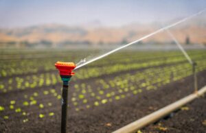 La réutilisation de techniques d’irrigation anciennes au Maroc sauve l’eau en 2026 Ancient irrigation techniques in use at a traditional Moroccan farm, water-saving solutions for 2026