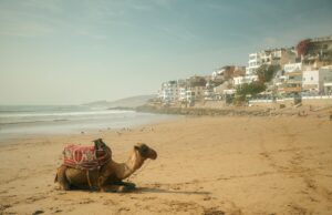 Le Maroc, la destination touristique la plus tendance d’Afrique : découvrez les attraits incontournables Famille sur une plage ensoleillée marocaine avec palmes et mer dans le fond