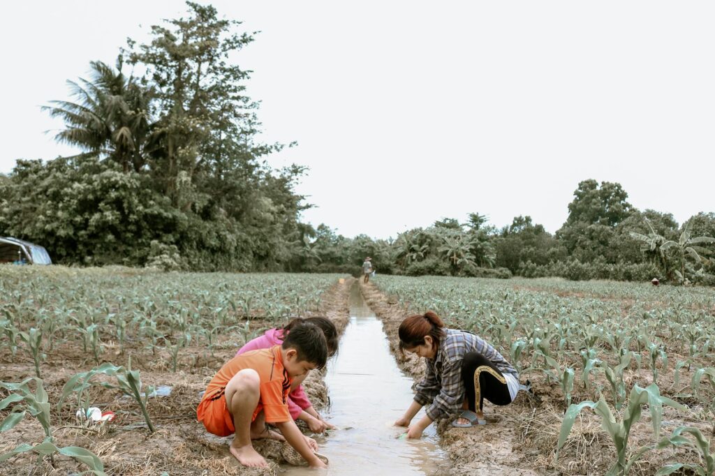 Techniques de conservation de l’eau au Maghreb : Rapprochement avec les anciens méthodes