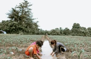 Techniques de conservation de l’eau au Maghreb : Rapprochement avec les anciens méthodes Famille au Maghreb utilisant des techniques traditionnelles pour la conservation de l'eau
