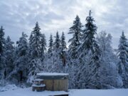 Les 5 meilleurs spas pour traverser l’hiver en beauté et bien-être 5 meilleurs spas hiver - Spa Thermes Marins de Vichy enneigé
