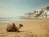 Voyage au Maroc : Le Royaume chérifien séduit les vacanciers malgré inquiétudes du Moyen-Orient famille en vacances sur la plage du Maroc
